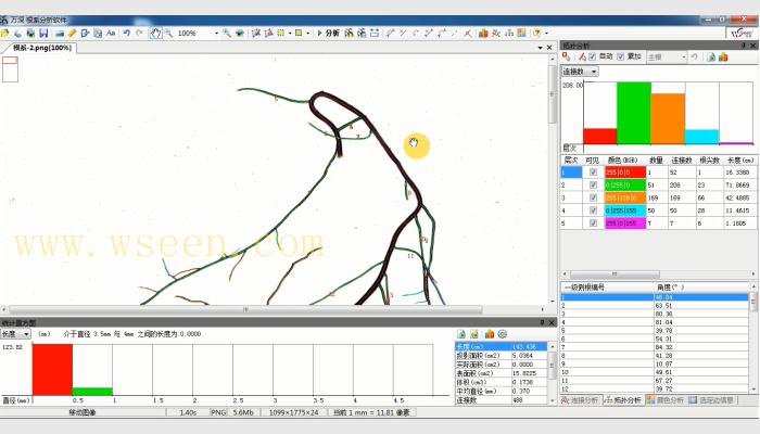 LA-S植物根系分析儀，根系分析系統(tǒng)，根系掃描儀，根系圖像分析儀，用于對洗凈的植物根系進行多參數(shù)、批量化的快速自動分析。