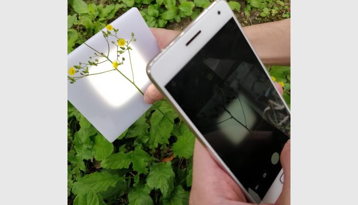 油菜、樹枝等的分枝角、水稻小麥等的莖葉角是作物表型基本參數(shù)，其人工測量獲取工作繁重。萬深SC-K1型植物分支角自動測量儀利用機器視覺智能識別技術來自動批量化獲得精準的枝角測量結果，為育種選材提供依據(jù)。