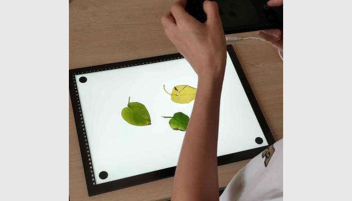 LA-M增強版手機版葉面積分析儀系統(tǒng)，葉面積儀，葉面積測量儀，葉面積測定儀，便攜式葉面積儀,活體葉面積測量儀。用于快速便捷地在野外分析測量原位的植物葉面積等。